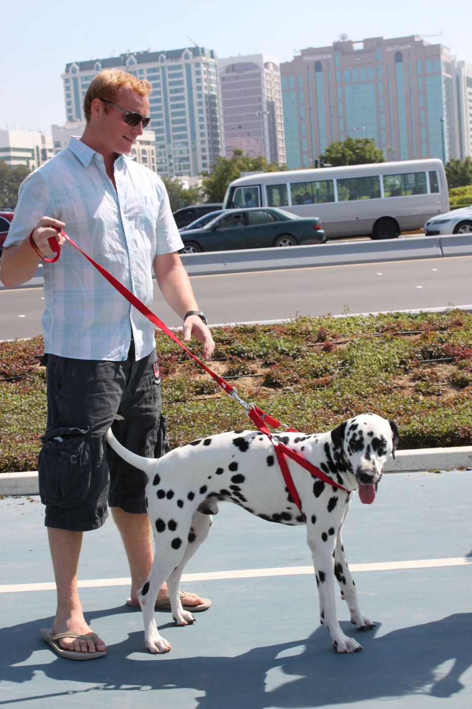 The blue cycle track surface on the Abu Dhabi Corniche